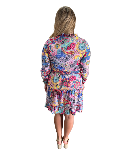 Multicolor Paisley Print Mini Dress